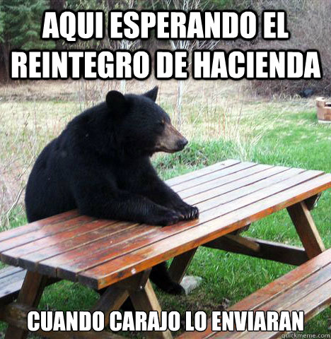 AQUI ESPERANDO EL REINTEGRO DE HACIENDA CUANDO CARAJO LO ENVIARAN  waiting bear