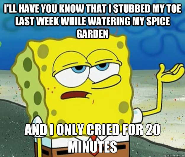 I'll have you know that I stubbed my toe last week while watering my spice garden And i only cried for 20 minutes - I'll have you know that I stubbed my toe last week while watering my spice garden And i only cried for 20 minutes  Tough Spongebob