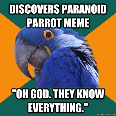 Discovers Paranoid Parrot Meme 