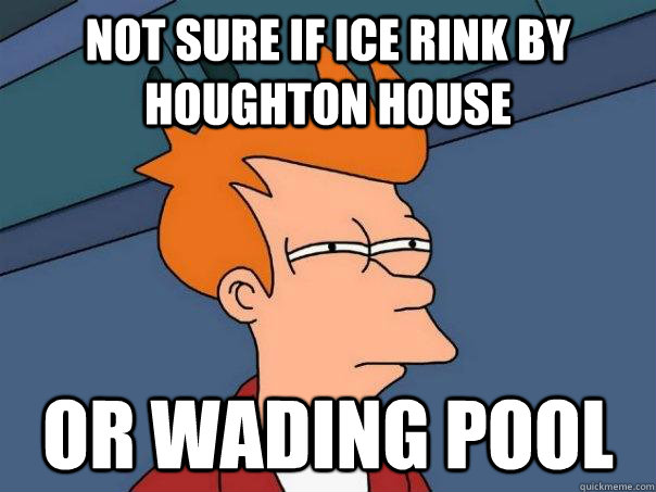 Not sure if ice rink by houghton house or wading pool  Futurama Fry