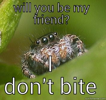 WILL YOU BE MY FRIEND? I DON'T BITE Misunderstood Spider