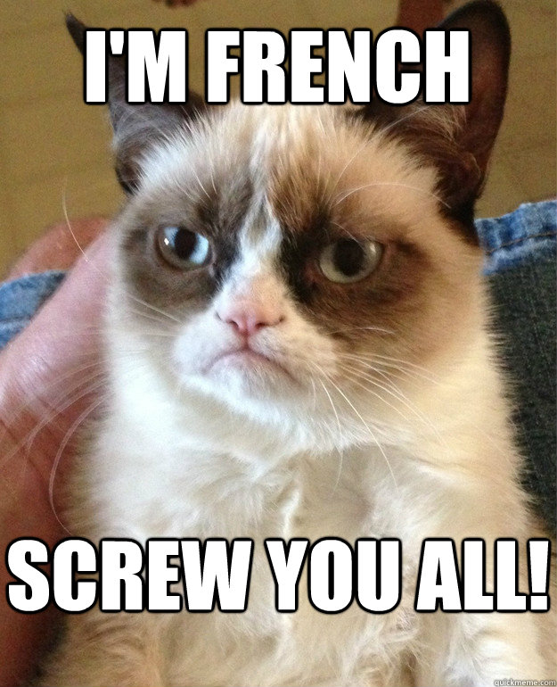 I'm french screw you all!  Grumpy Cat