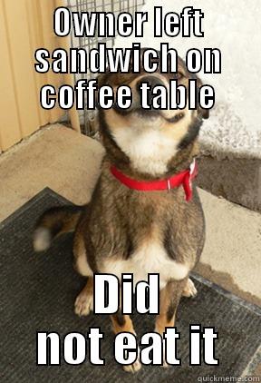 OWNER LEFT SANDWICH ON COFFEE TABLE DID NOT EAT IT Good Dog Greg