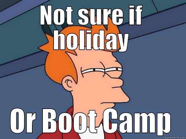 NOT SURE IF HOLIDAY OR BOOT CAMP Futurama Fry