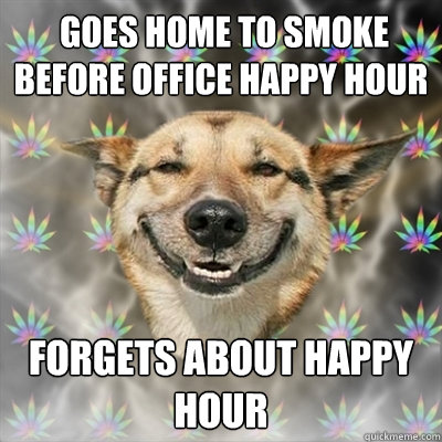  goes home to smoke before office happy hour forgets about happy hour  Stoner Dog