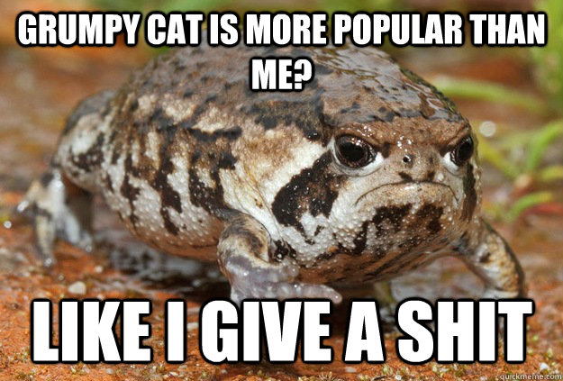 Grumpy cat is more popular than me? like i give a shit  