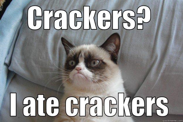 CRACKERS? I ATE CRACKERS Grumpy Cat