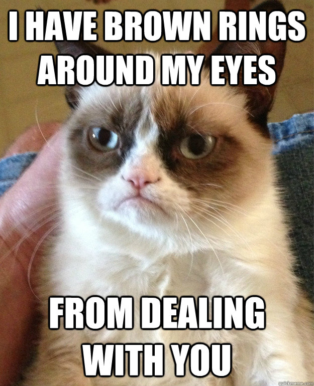 I have brown rings around my eyes from dealing with you  Grumpy Cat