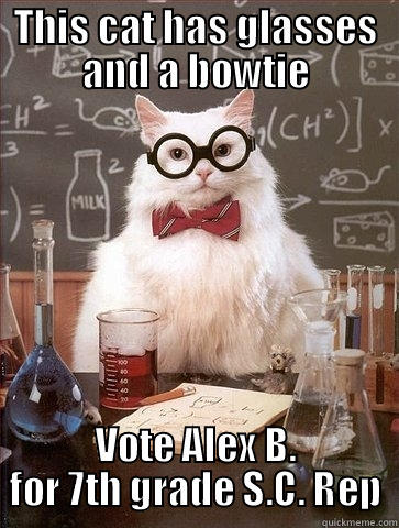 THIS CAT HAS GLASSES AND A BOWTIE VOTE ALEX B. FOR 7TH GRADE S.C. REP Chemistry Cat