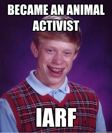 BECAME AN ANIMAL ACTIVIST IARF  Bad Luck Brian