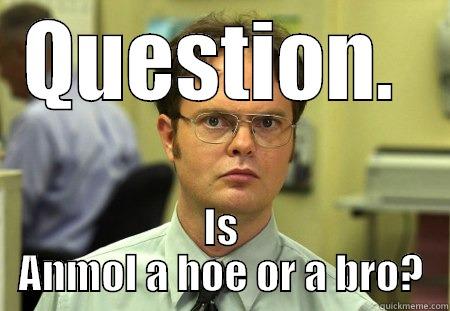 QUESTION.  IS ANMOL A HOE OR A BRO? Dwight