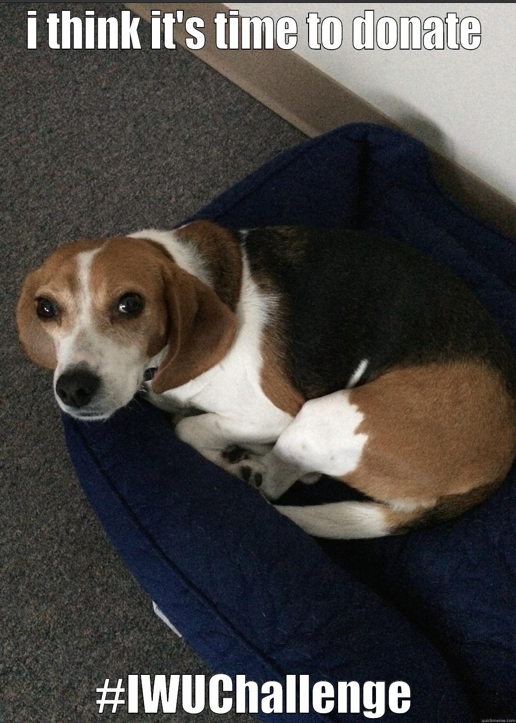 Beagle Donate - I THINK IT'S TIME TO DONATE #IWUCHALLENGE Misc