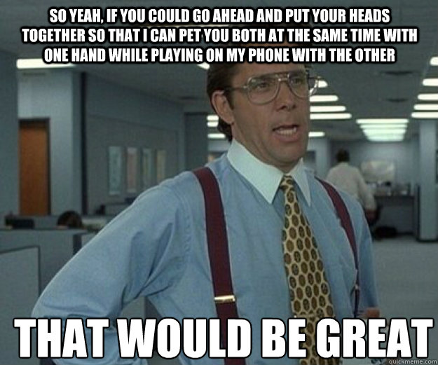 So yeah, if you could go ahead and put your heads together so that i can pet you both at the same time with one hand while playing on my phone with the other THAT WOULD BE GREAT  that would be great