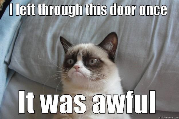 Grumpy cat says no - I LEFT THROUGH THIS DOOR ONCE IT WAS AWFUL Grumpy Cat