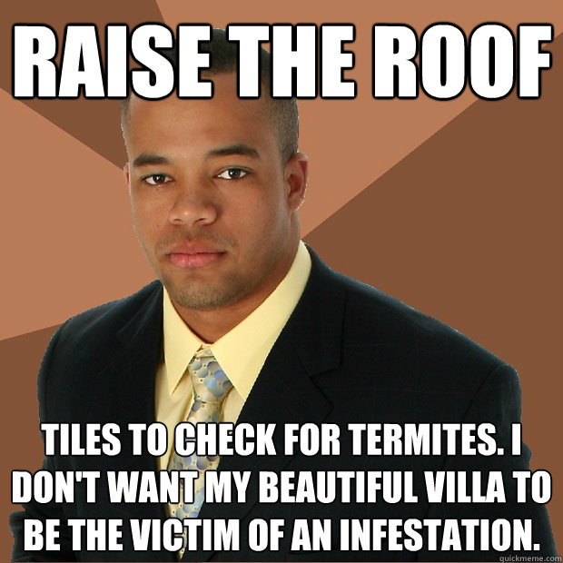 raise the roof tiles to check for termites. I don't want my beautiful villa to be the victim of an infestation.  Successful Black Man