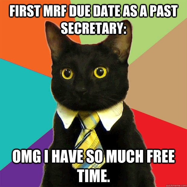 First MRF due date as a past Secretary: OMG I HAVE SO MUCH FREE TIME.  Business Cat