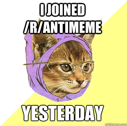 I joined /r/antimeme yesterday  Hipster Kitty