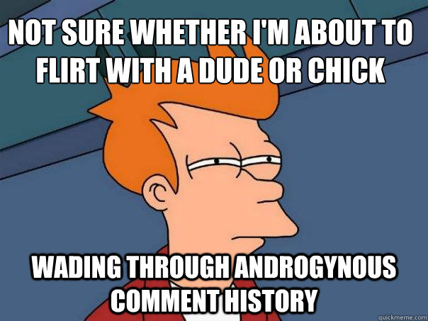 not sure whether i'm about to flirt with a dude or chick Wading through androgynous comment history  Futurama Fry