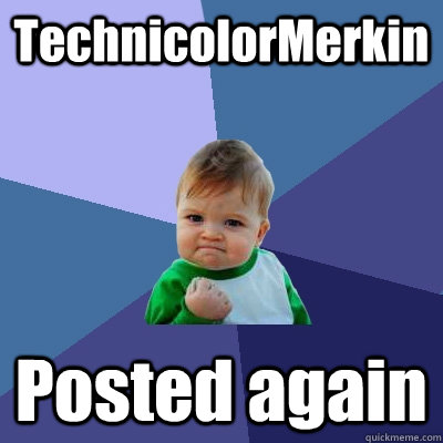 TechnicolorMerkin Posted again - TechnicolorMerkin Posted again  Success Kid