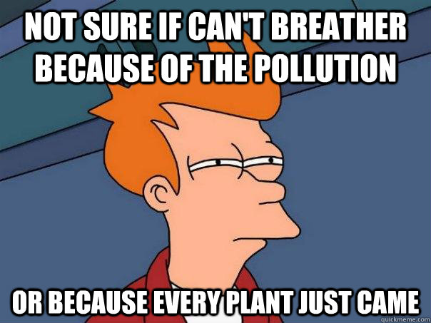 Not sure if can't breather because of the pollution or because every plant just came  Futurama Fry