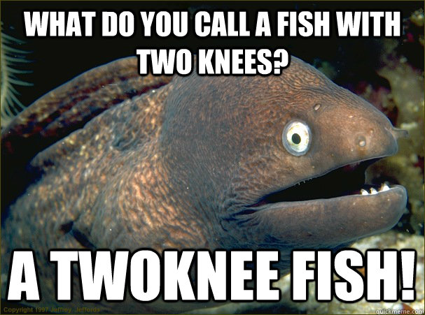 What do you call a fish with two knees? A Twoknee fish!  Bad Joke Eel