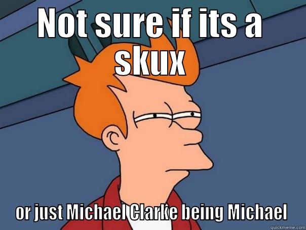 NOT SURE IF ITS A SKUX OR JUST MICHAEL CLARKE BEING MICHAEL Futurama Fry