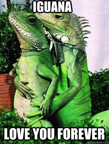 iguana love you forever  