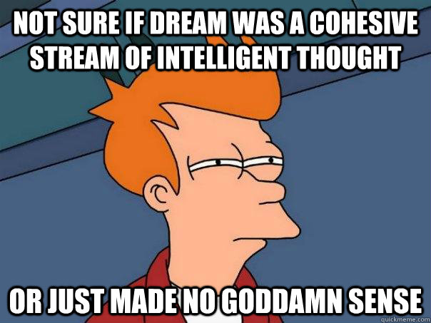 not sure if dream was a cohesive stream of intelligent thought  or just made no goddamn sense  Futurama Fry