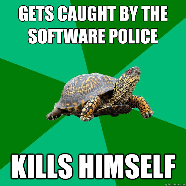 gets caught by the software police kills himself  Torrenting Turtle