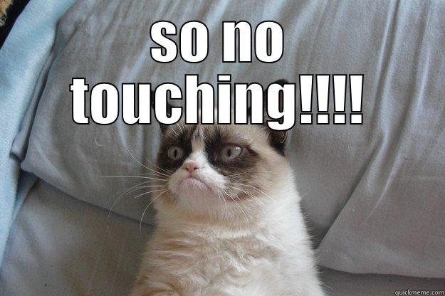 SO NO TOUCHING!!!!  Grumpy Cat