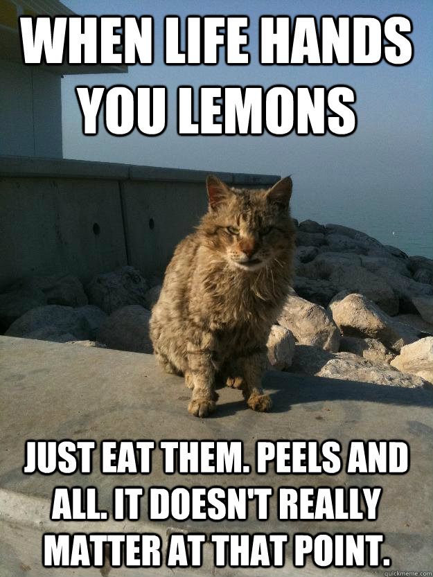 When life hands you lemons just eat them. Peels and all. It doesn't really matter at that point. - When life hands you lemons just eat them. Peels and all. It doesn't really matter at that point.  Bitter Cat