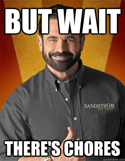 but wait there's chores - but wait there's chores  Billy Mays