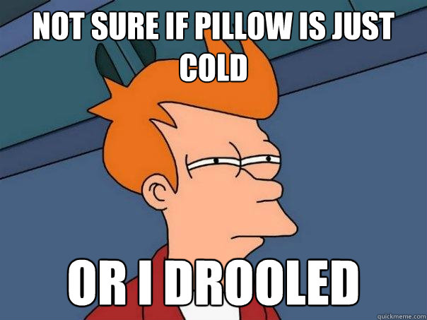 not sure if pillow is just cold Or i drooled  Futurama Fry