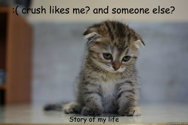 :( crush likes me? and someone else? Story of my life  Sad Kitten