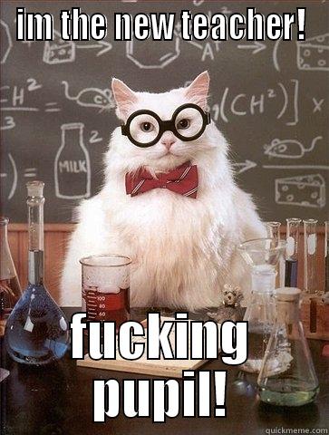 mr cat - IM THE NEW TEACHER! FUCKING PUPIL! Chemistry Cat