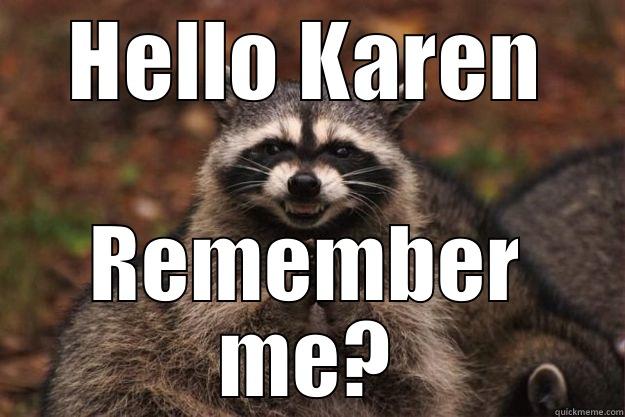 HELLO KAREN REMEMBER ME? Evil Plotting Raccoon