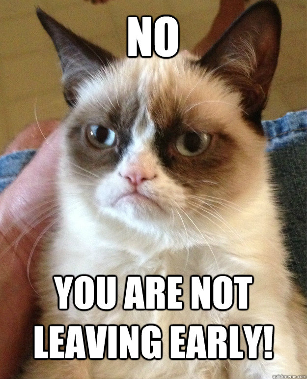 No you are not leaving early! - No you are not leaving early!  Grumpy Cat