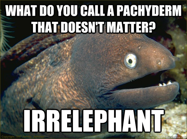 What do you call a pachyderm that doesn't matter? Irrelephant - What do you call a pachyderm that doesn't matter? Irrelephant  Misc