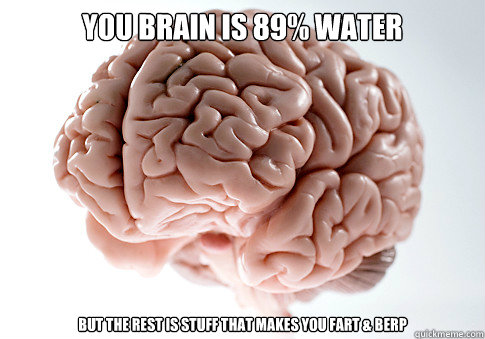 you brain is 89% water but the rest is stuff that makes you fart & berp  Scumbag Brain