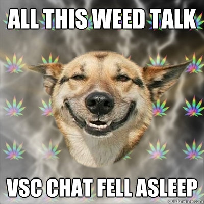 All this weed talk vsc chat fell asleep  Stoner Dog