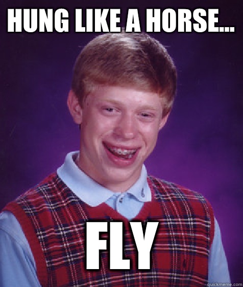 Hung like a horse... Fly  Bad Luck Brian