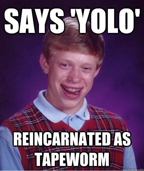 Says 'YOLO' Reincarnated as tapeworm  Bad Luck Brian