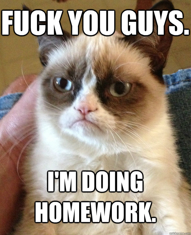 Fuck you guys. I'm doing homework.  Grumpy Cat