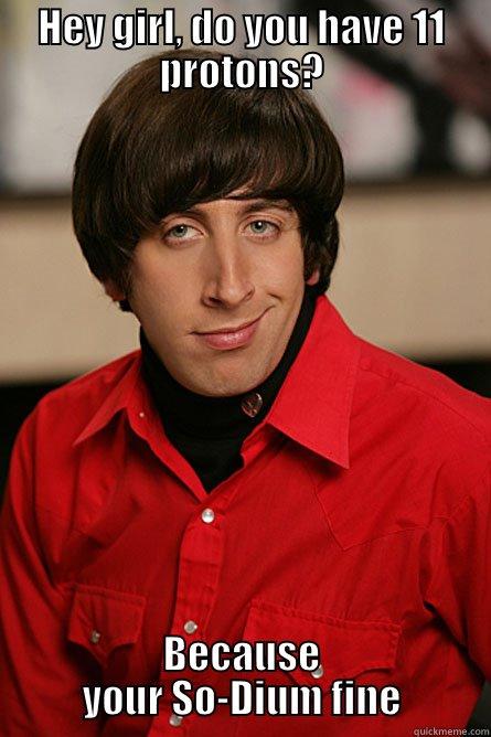 HEY GIRL, DO YOU HAVE 11 PROTONS? BECAUSE YOUR SO-DIUM FINE Pickup Line Scientist