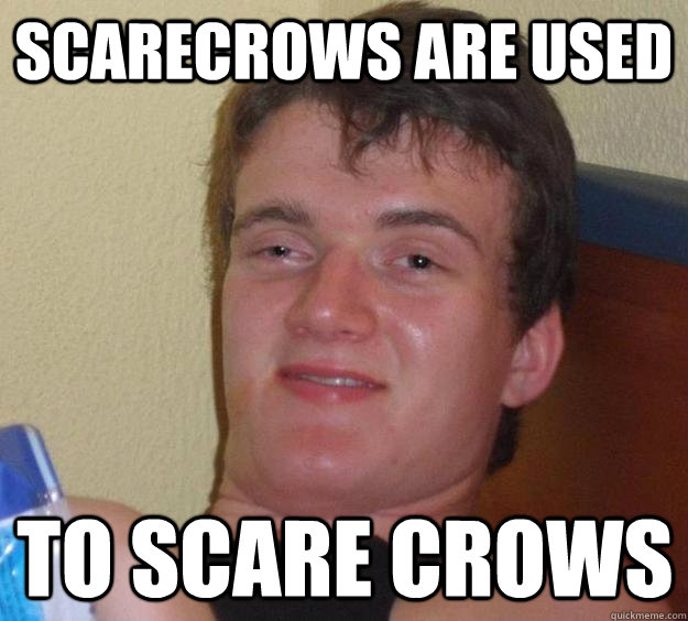 SCAREcrows are used to scare crows  10 Guy