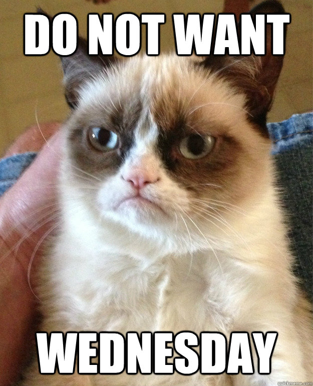 do not want wednesday  Grumpy Cat