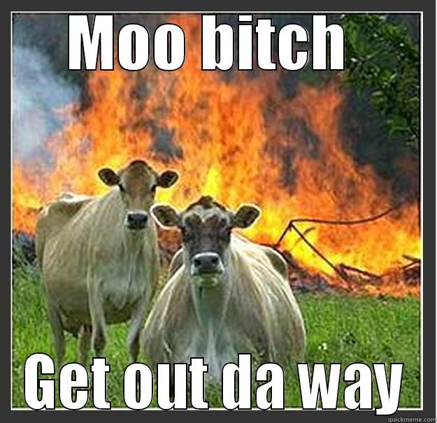 cocky cows - MOO BITCH  GET OUT DA WAY Evil cows