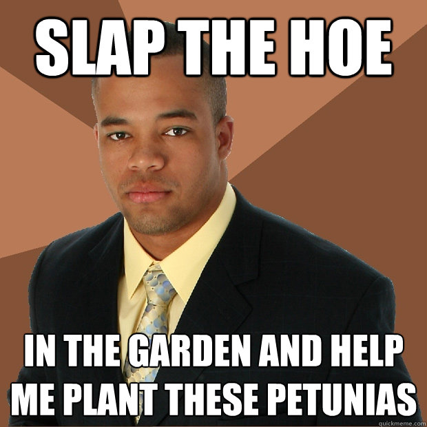 slap the hoe in the garden and help me plant these petunias  Successful Black Man