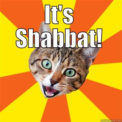 IT'S SHABBAT!  Bad Advice Cat