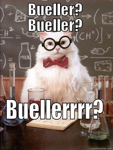 BUELLER? BUELLER? BUELLERRRR? Chemistry Cat